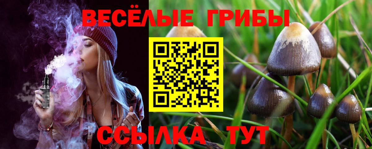 Луховицы  Псилоцибиновые грибы мухоморы  Вход с VPN  Галлюциногенные грибы Cubensis 